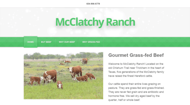 mcclatchyranch.com