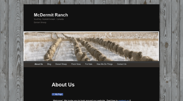 mcdermitranch.com