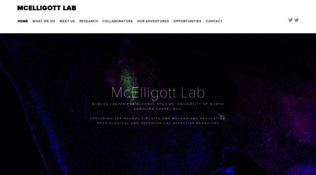 mcelligottlab.org