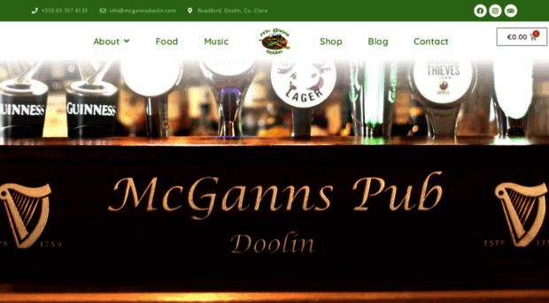 mcgannspubdoolin.com