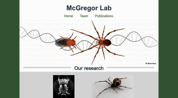 mcgregor-evo-devo-lab.net