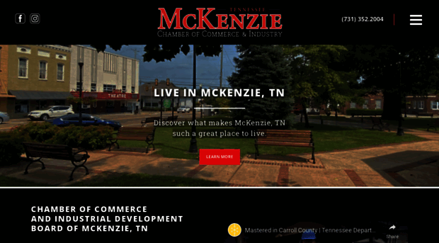 mckenzietnindustry.com