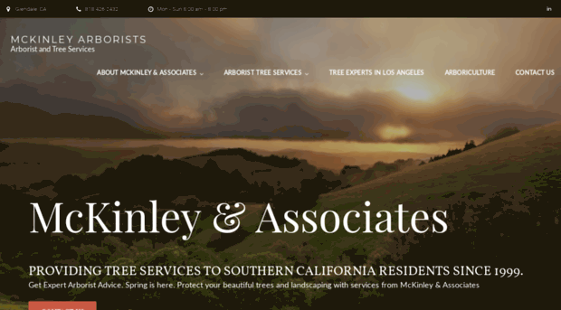 mckinleyarborists.com