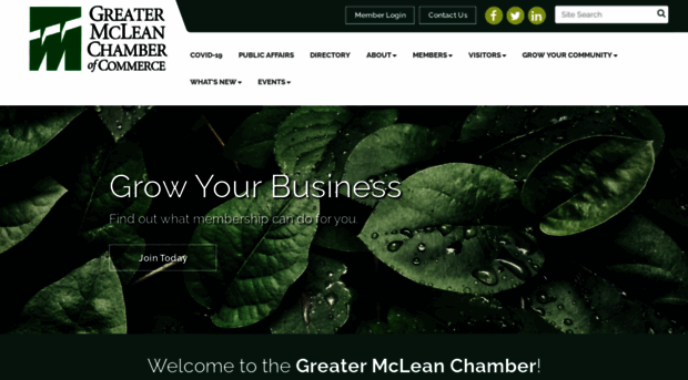 mcleanchamber.org