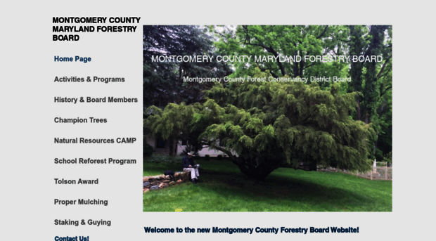 mcmdforestryboard.org