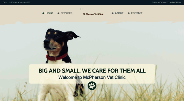 mcphersonvetclinic.com