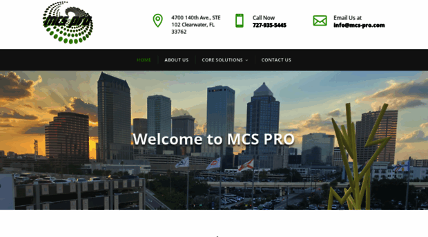 mcs-pro.com