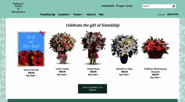 mcshanesflorist.com