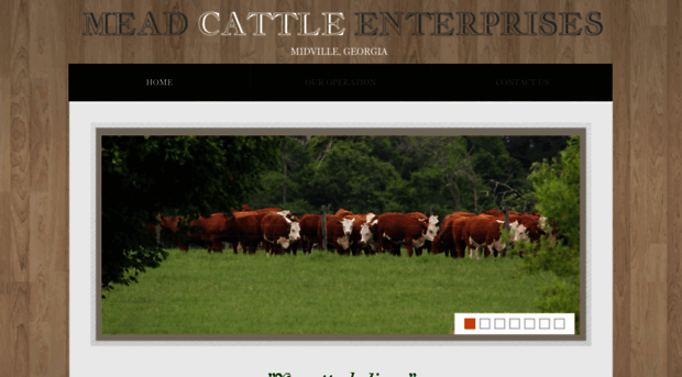 meadcattle.com