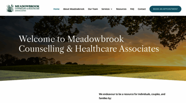 meadowbrookcounsellingassociates.com