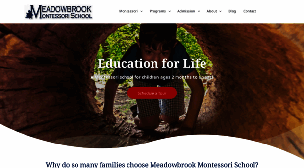 meadowbrookmontessorischool.com