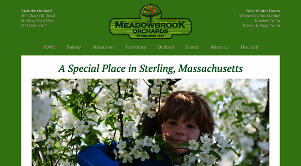 meadowbrookorchards.com