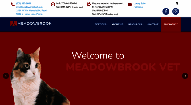 meadowbrookvet.com