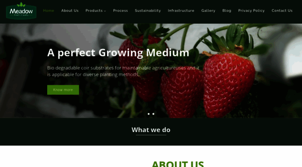 meadowindia.com