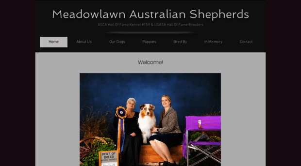 meadowlawnkennels.com