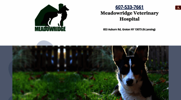 meadowridgevet.com