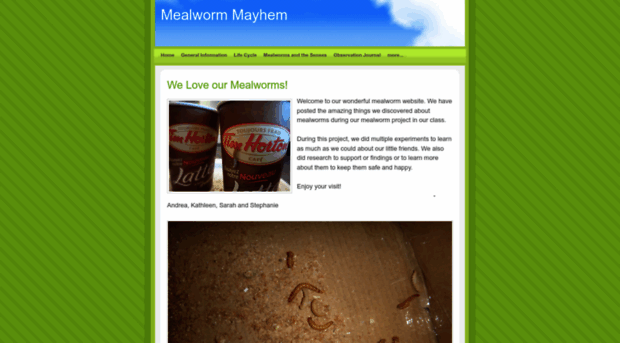 mealwormmayhem.weebly.com