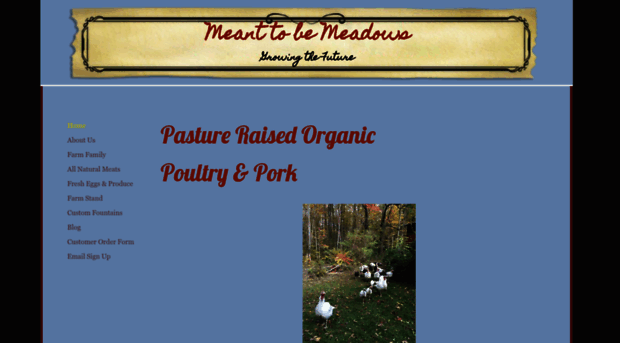 meanttobemeadows.com