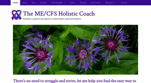 mecfsselfhelpguru.com