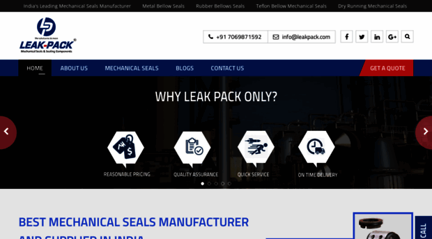 mechanicalsealsindia.in