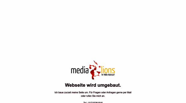 media-lions.de