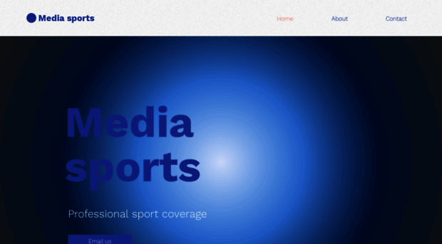 media-sports.net