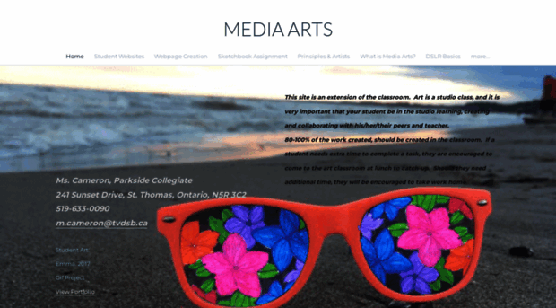 mediaartcameron.weebly.com