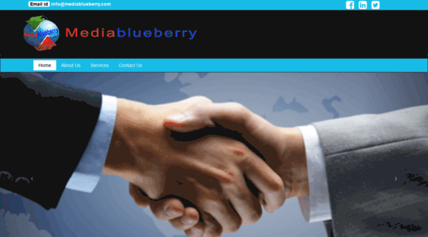 mediablueberry.com