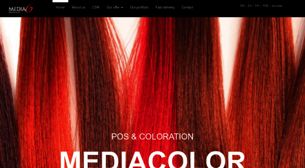 mediacolorsp.com