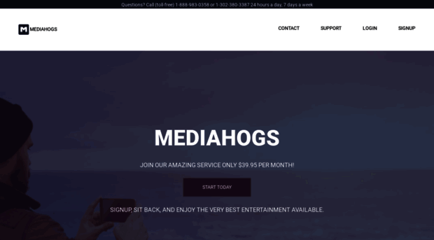 mediahogs.net