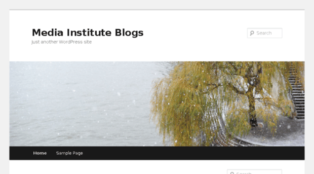 mediainstituteblog.com