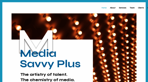 mediasavvyplus.com