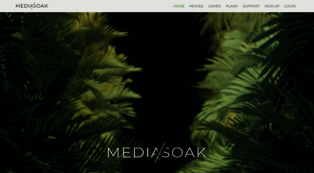 mediasoak.com