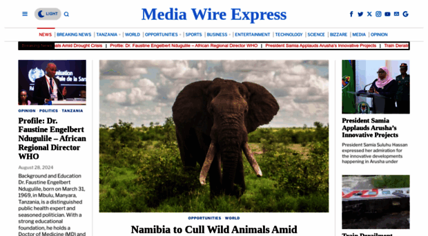 mediawireexpress.co.tz