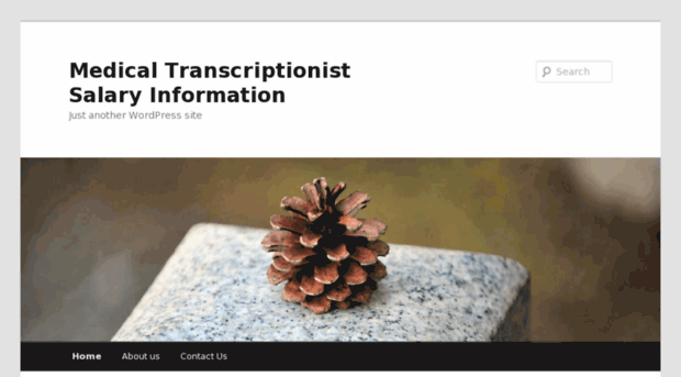 medical-transcriptionist-salary.net