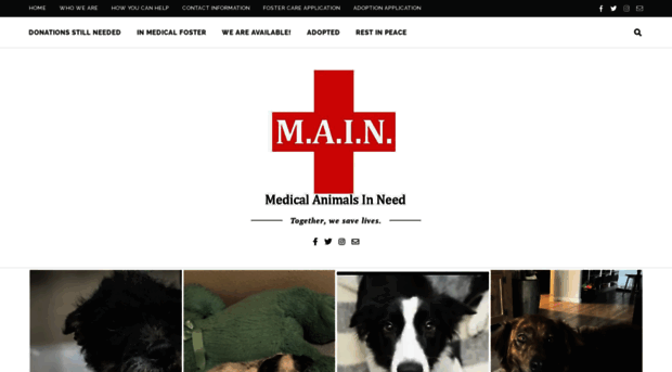 medicalanimalsinneed.com