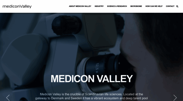 mediconvalley.com