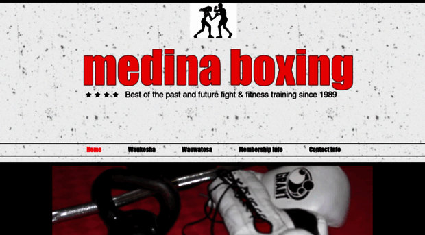 medinaboxing.com