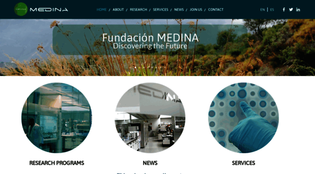 medinadiscovery.com