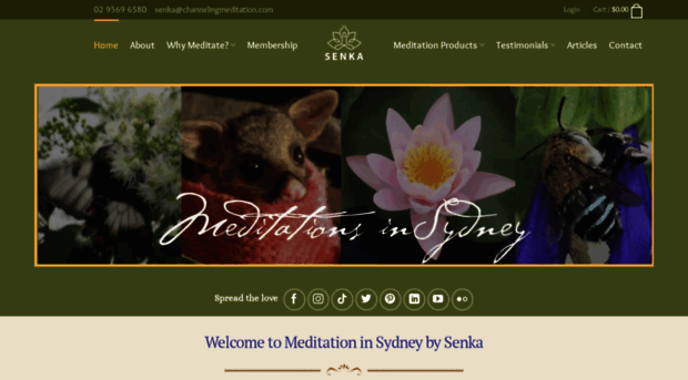 meditationinsydney.com