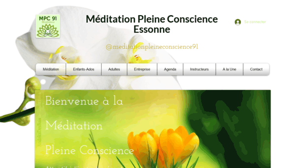 meditationpleineconscience91.com