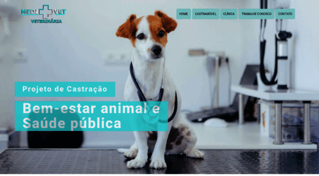 medivetveterinaria.com.br