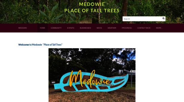 medowie.nsw.au