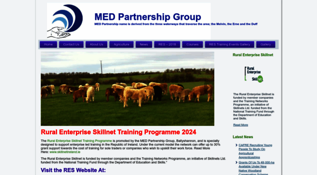 medpartnership.com