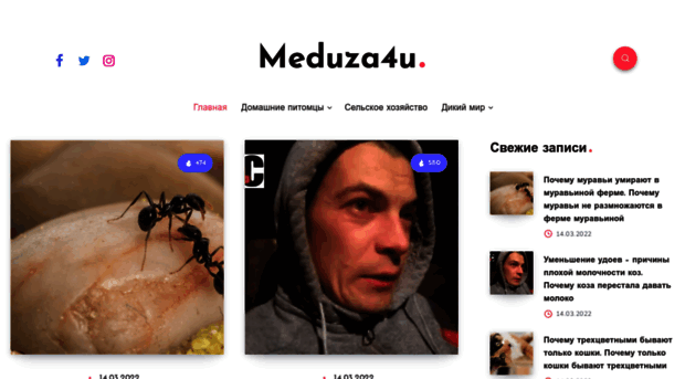 meduza4u.ru