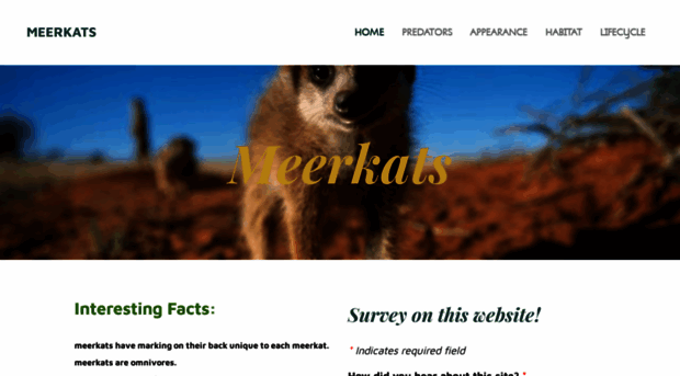 meerkatsuricattasuricatta.weebly.com