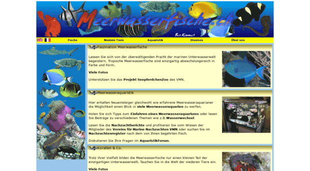 meerwasserfische.ch