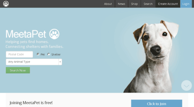 meetapet.com