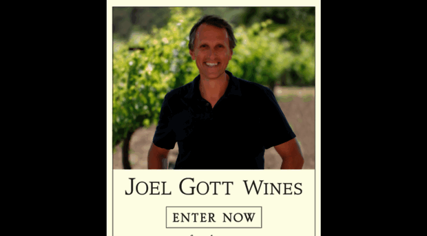 meetjoelgott.com