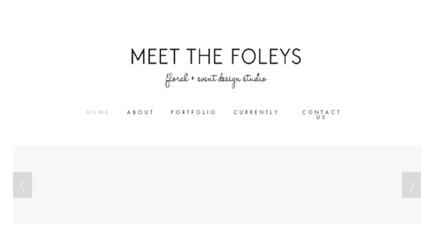 meetthefoleys.com